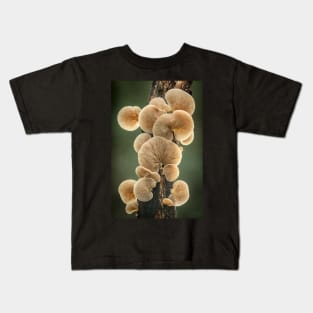 Crepidotus fungi on a branch Kids T-Shirt